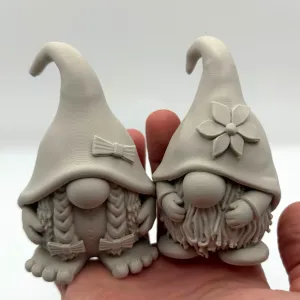 Cute Gnomes Couple