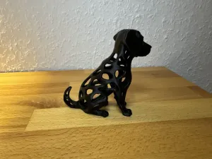 Hund