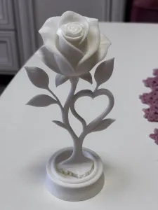 Beautiful rose