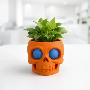 Skull Plant Pot | Cute Gothic Planter
