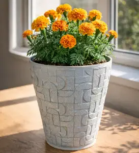 FLOWER POT