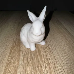 Hase Modell