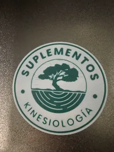 LOGO kinesiologia