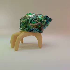 Hermit Finger Crab
