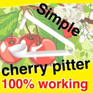 cherry pitter(çekirdek çıkartıcı)