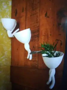wall clinbing flower pots