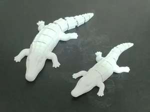 Flexible Caiman