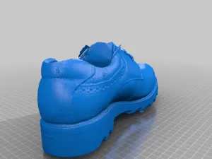 Leather shoe(generated by Revopoint POP)