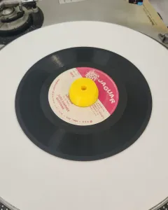 45 RPM Record Adapter (7 inch record)