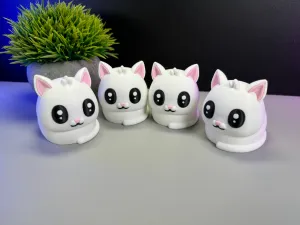 Cute Cat