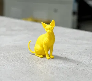 Sphinx cat