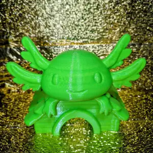 Axolotl Home