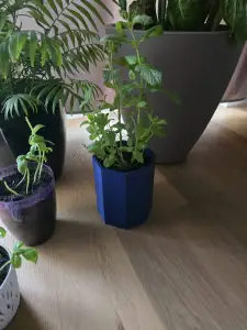 hexagonal flower pot