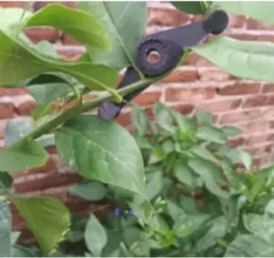 Doblador de Plantas Ajustable / Adjustable Plant Bender