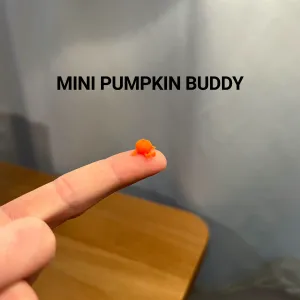 Mini Pumpkin Buddy