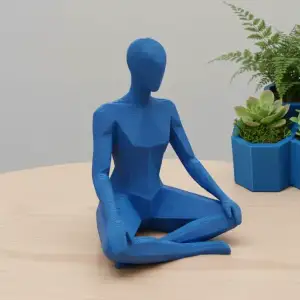 Meditating Human