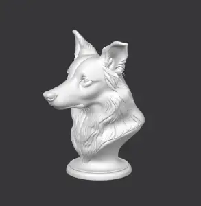 Border Collie Bust