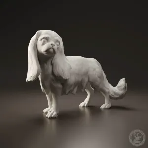Cavalier King Charles Spaniel