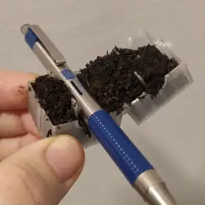 Plant rooting box