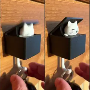 Cat Key