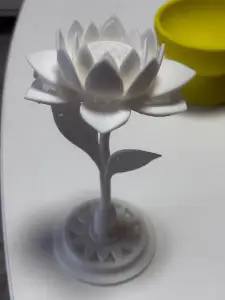 Spring flower