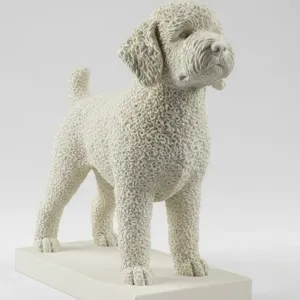Cão dagua portugues
