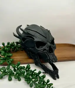 skull