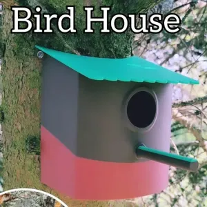 Curved Bird House for Tree Stem
