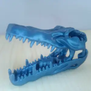 Crocodile Skull