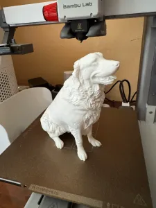 zora the golden retriever