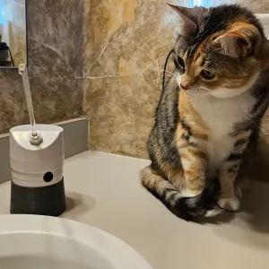AquaPurr Cat Water Fountain Stand