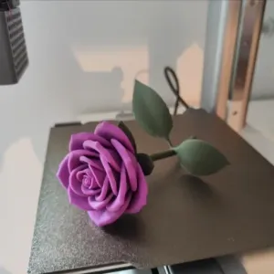 rose and stem