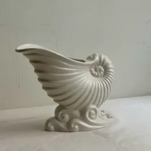 Sea shell