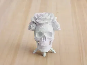 SKULL GOTHIC FLORAL ROSE DECOR ART SPOOKY TABLETOP [FREE]