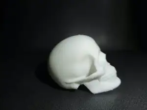 Classic Anatomic Human Skull Sculpture with Bone Detail