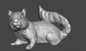 squirrle