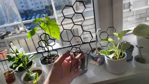 Hexagonal plant support - fast print