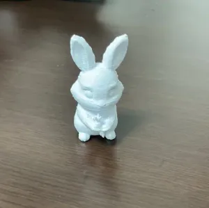 Rabbit
