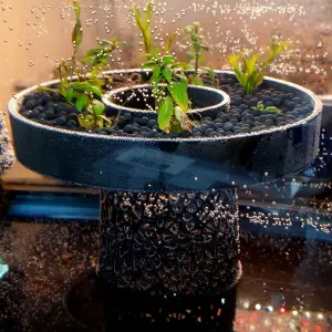 Raised Planter with Voronoi Base