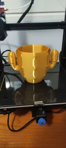 cactus pot