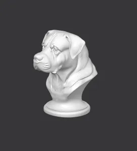 Cane Corso Bust
