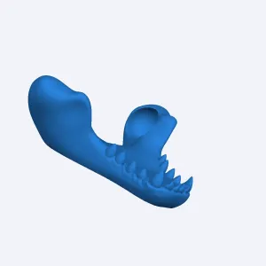 dino articulado dentadura