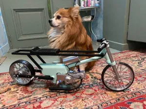 Mini Pro Greek Style Dragster