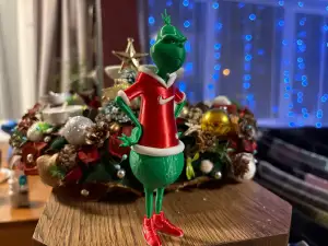 grinchcreality