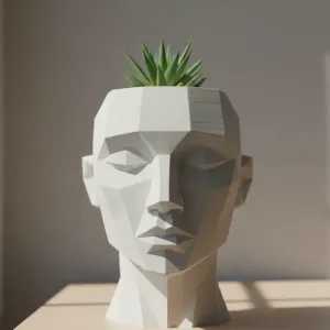 Geometric Abstract Face Planter