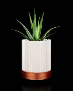 Wall Pot Planter