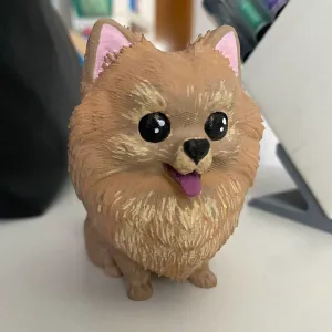 pomeranian dog