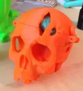 Skull and brain