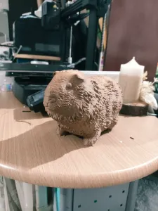 Cuyo