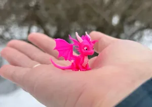 mini dragon